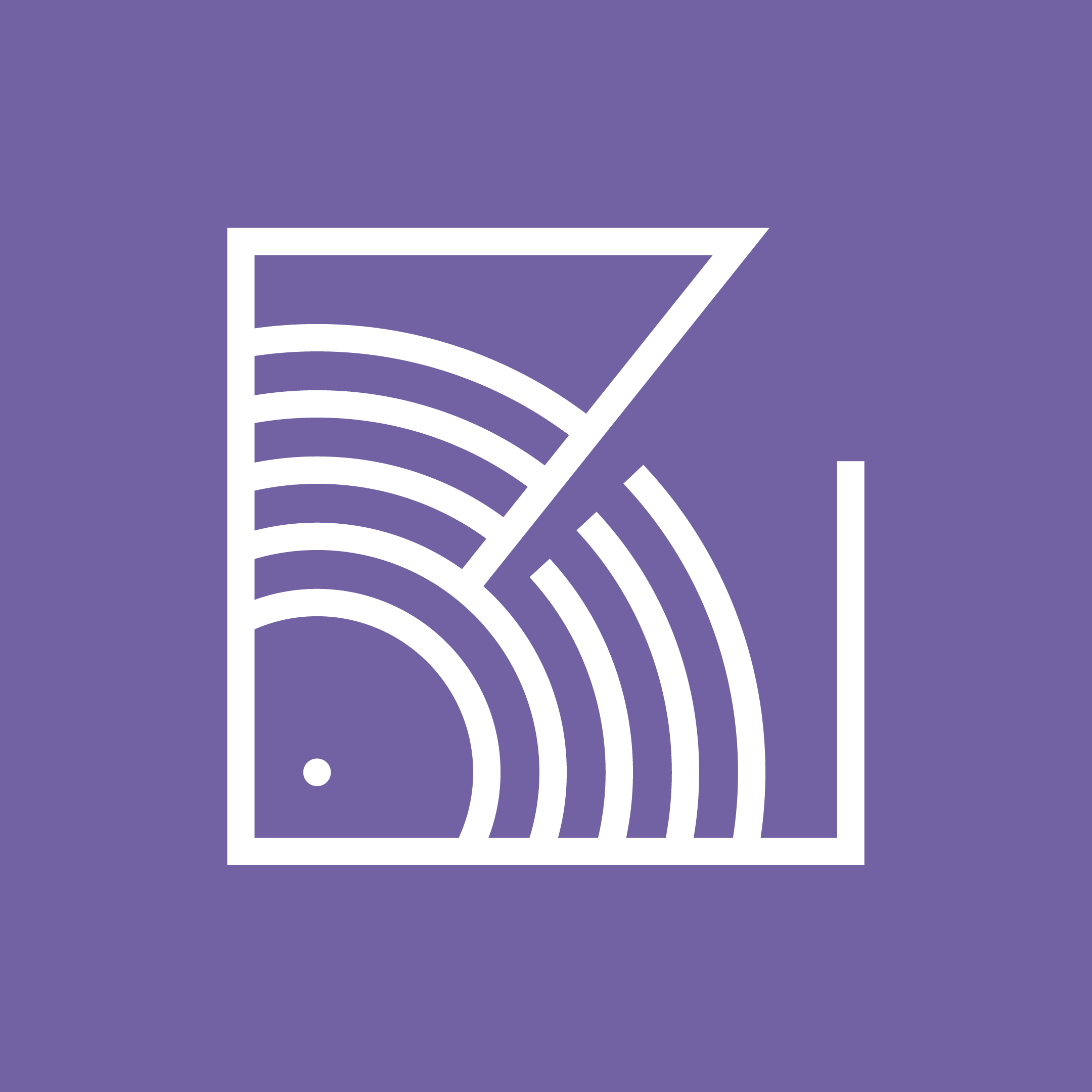 Rock Picture Sleeves (ONLY)