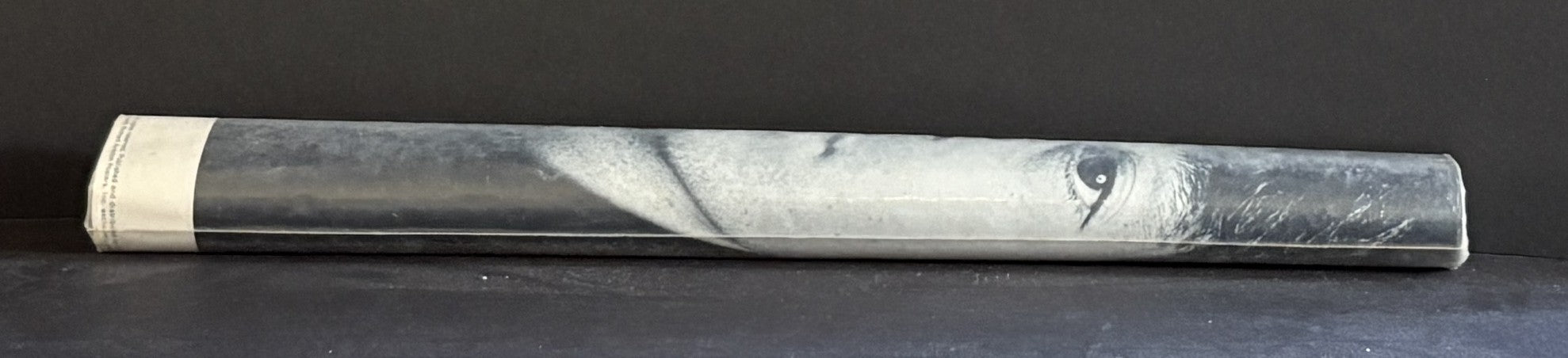 Original Richard Avedon B&W Group Poster  - 1967 - in poster sleeve - Mint-