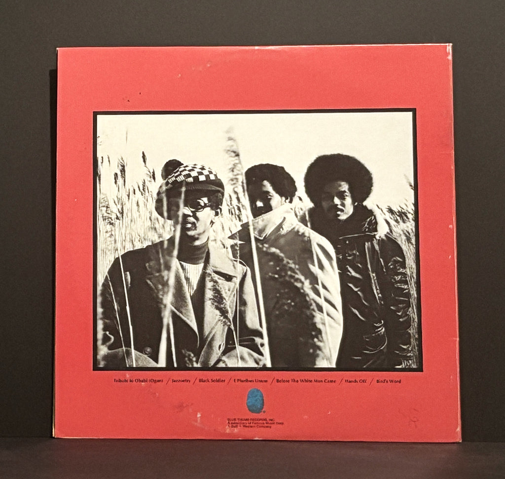 The Last Poets ‎– Chastisment LP