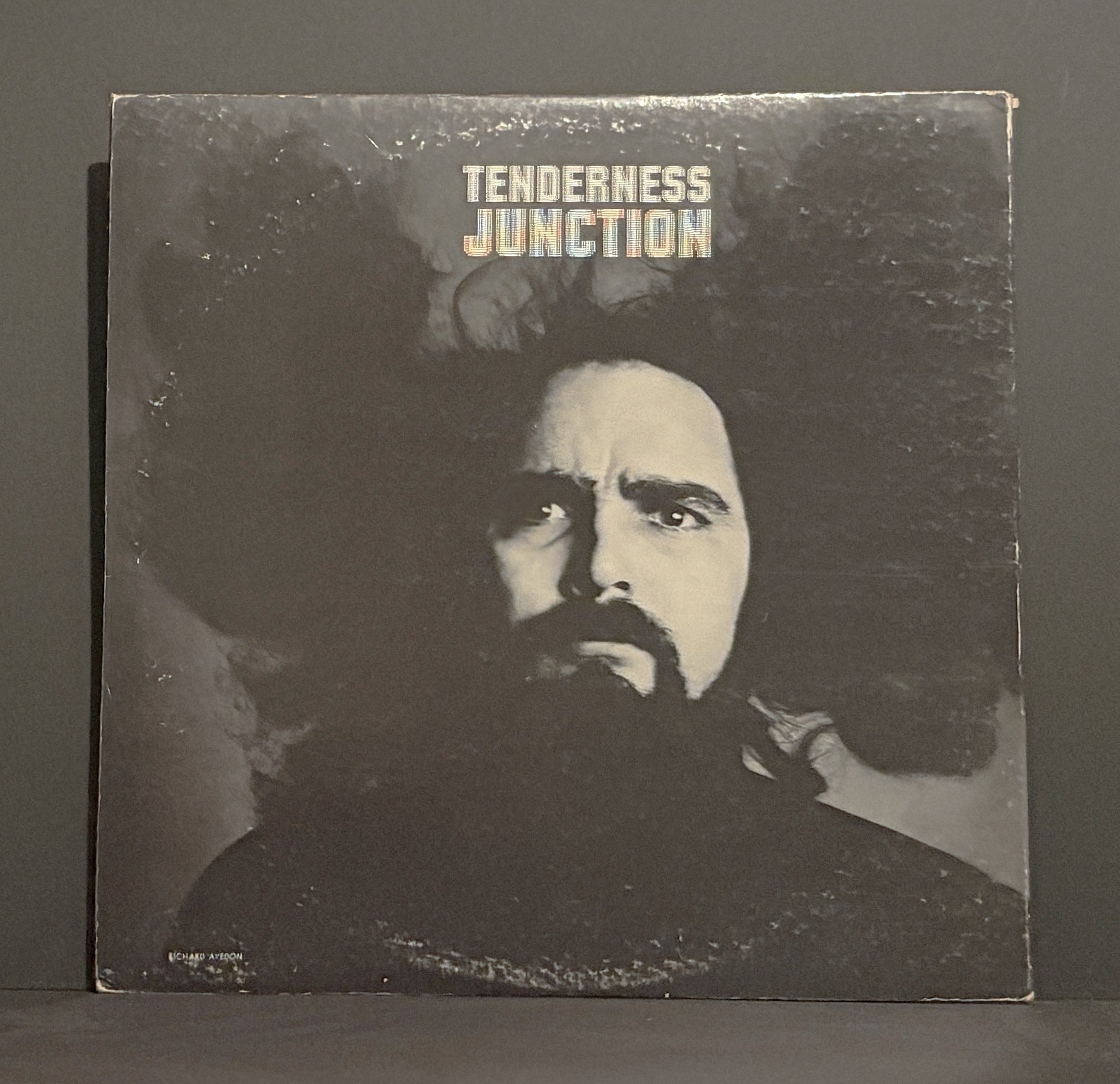 The Fugs ‎– Tenderness Junction LP - 1967 - Original Press - NM-