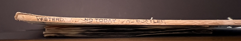 The Beatles - Yesterday & Today - Butcher - 2nd State - MONO - WIP