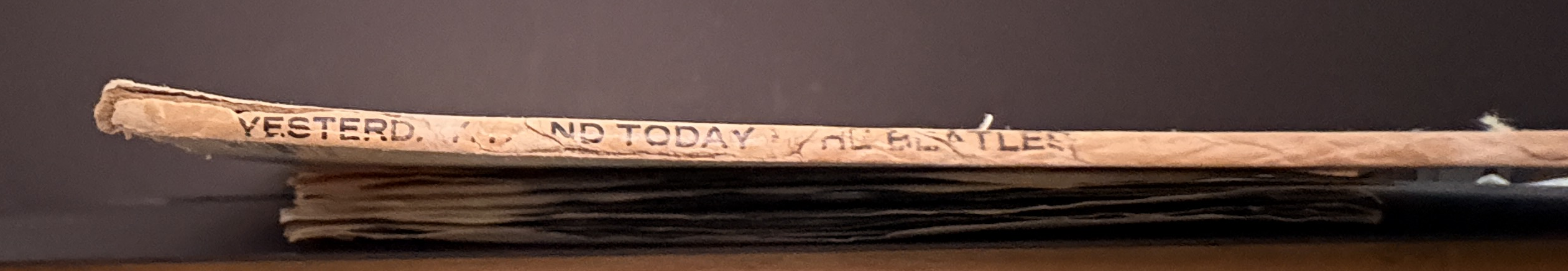The Beatles - Yesterday & Today - Butcher - 2nd State - MONO - WIP